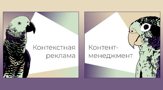 Декоративные карточки "Контекстная реклама" и "Контент-менеджмент" с попугаями