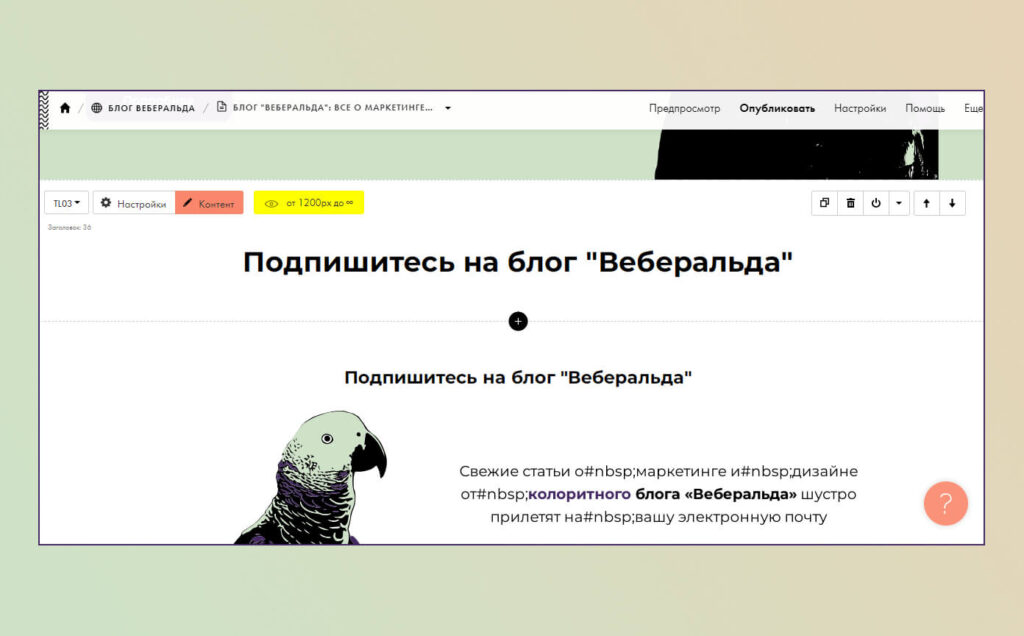 Конструктор сайтов Tilda: два варианта готовых блоков на странице для ПК и мобильной версии