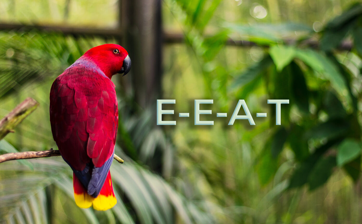Алгоритм Google: факторы E-E-A-T